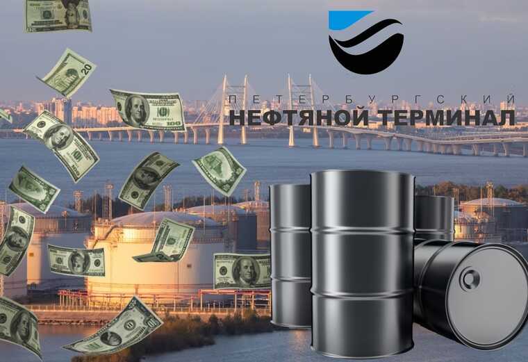 Схемы через теневые нефтяные потоки: кто стоит за рейдером Романом Спиридоновым, пытающимся захватить "ПНТ"